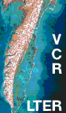 vcrlter