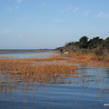 DSCF3959