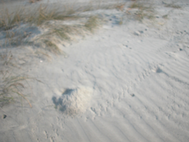 DSCN1552.jpg
