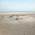 DSCN1553