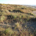 DSCF3952