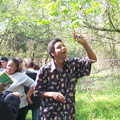 p tax4