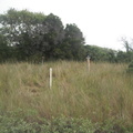 DSCF3801