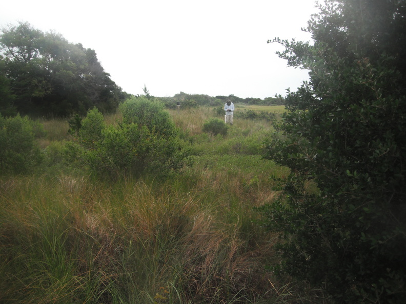 DSCF3809.JPG