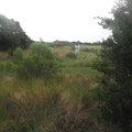 DSCF3809