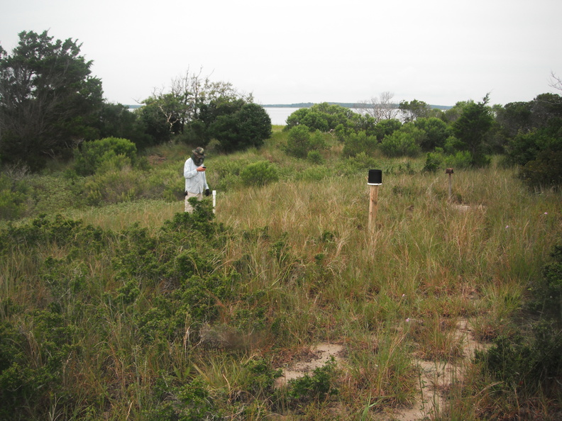 DSCF3814.JPG