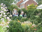 IMG 7855