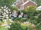 IMG 7856