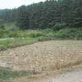 DSCF9259
