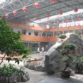 DSCF9271