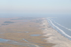 IMG 0487