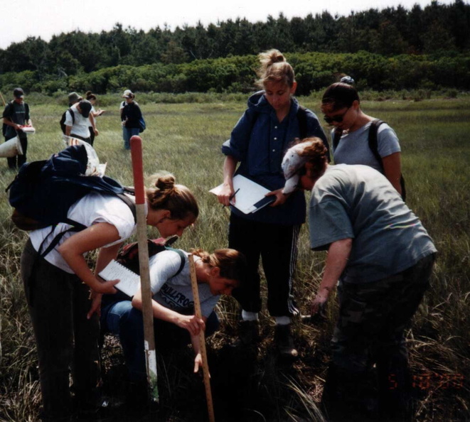 ECVA00soilpit.jpg