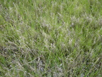 DSC00007