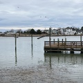 OysterTideBad1