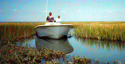 boat.gif