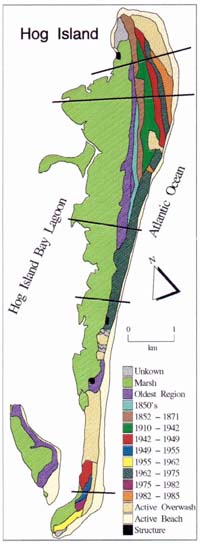 Ages of Hog Island