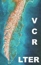 Virginia Coast Reserve Long-Term Ecological Research