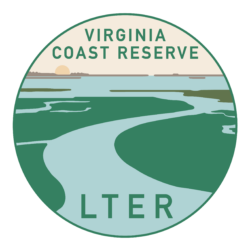 Virginia Coast Reserve Long-Term Ecological Research