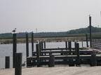 IMGP0484
