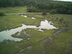 CobbMillCreek2014 05