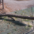 IMGP0690