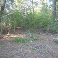 DSC00010