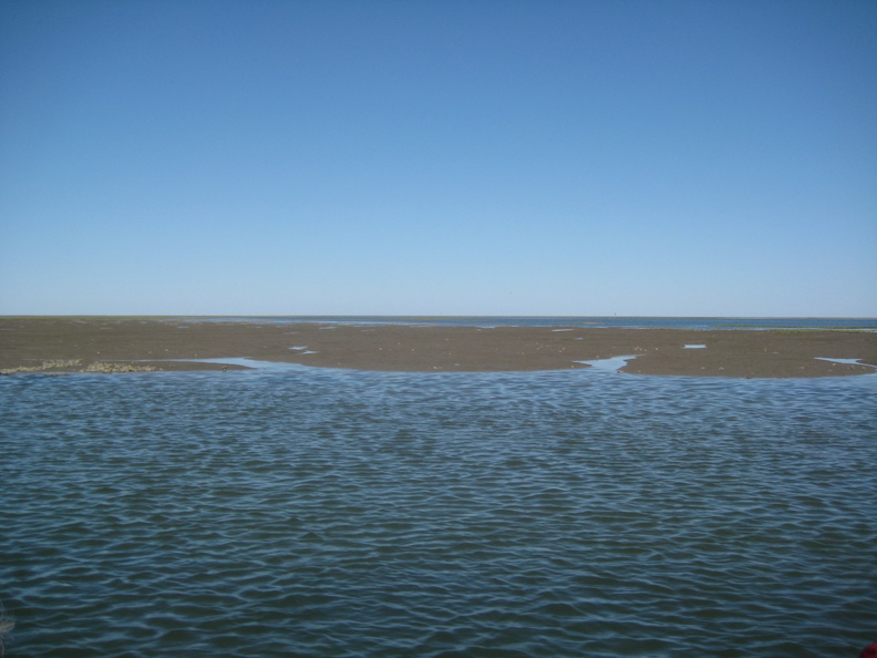 IMG_0041.JPG
