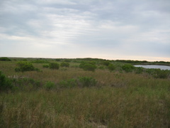 IMG 0009-6