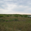 IMG 0009-6