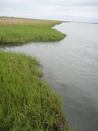 IMG 0049-2