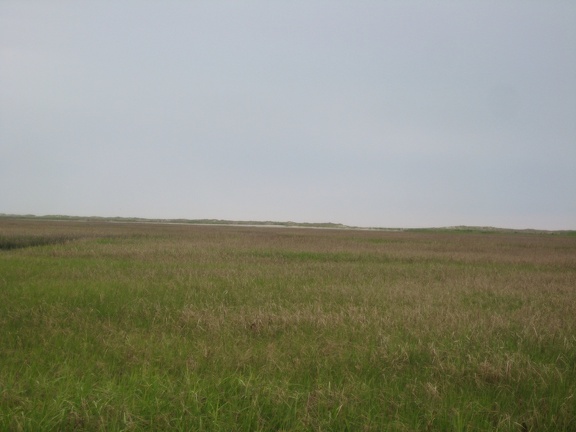 IMG 0050-1