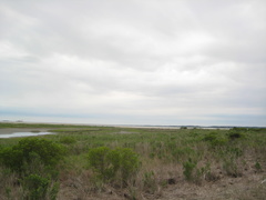 STJ 0019