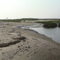 DSC04149