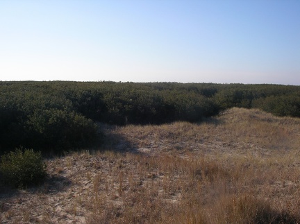 IMGP0961