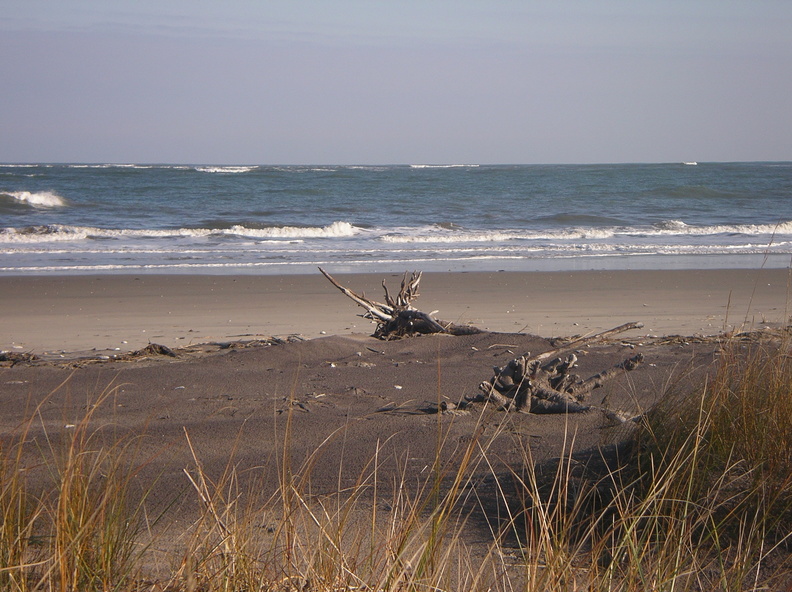 IMGP0963.jpg