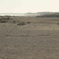 P1000353