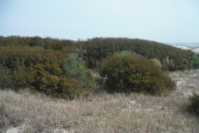 DSCF6527.JPG