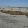 DSCF6571
