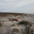 DSCF3942
