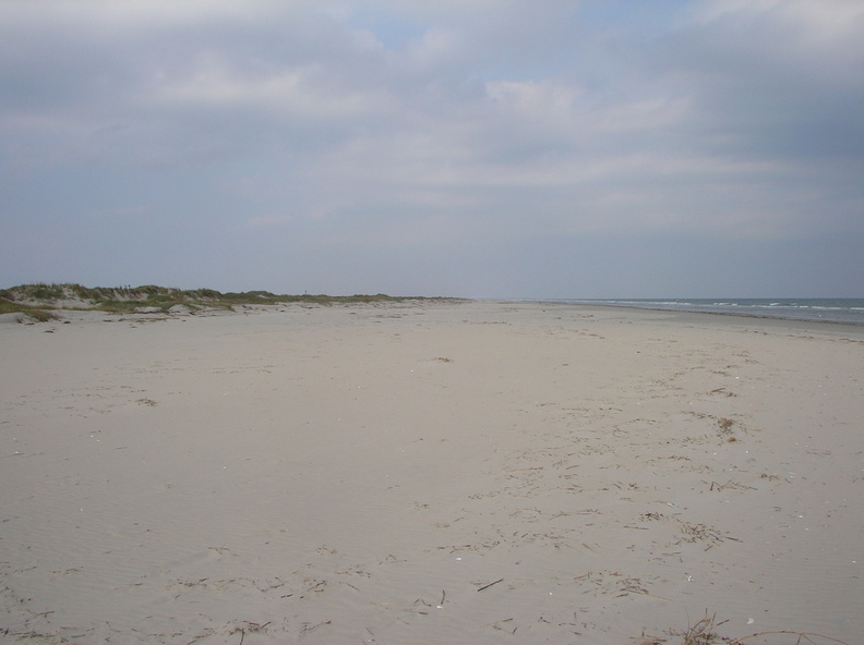 IMGP0820 - IMGP0820.jpg IMGP0820.jpg