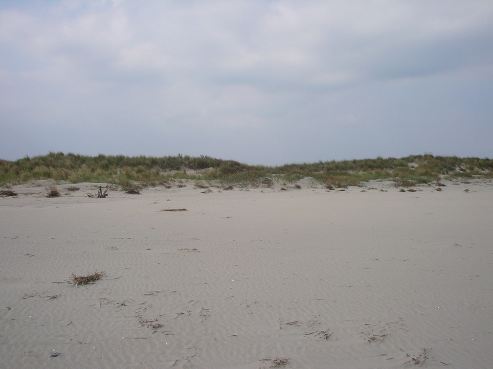 IMGP0822