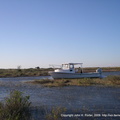 IMGP0952