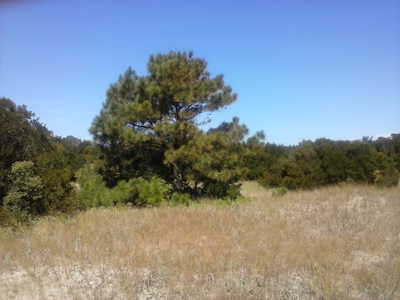 0926141150a - 0926141150a.jpg 0926141150a.jpg