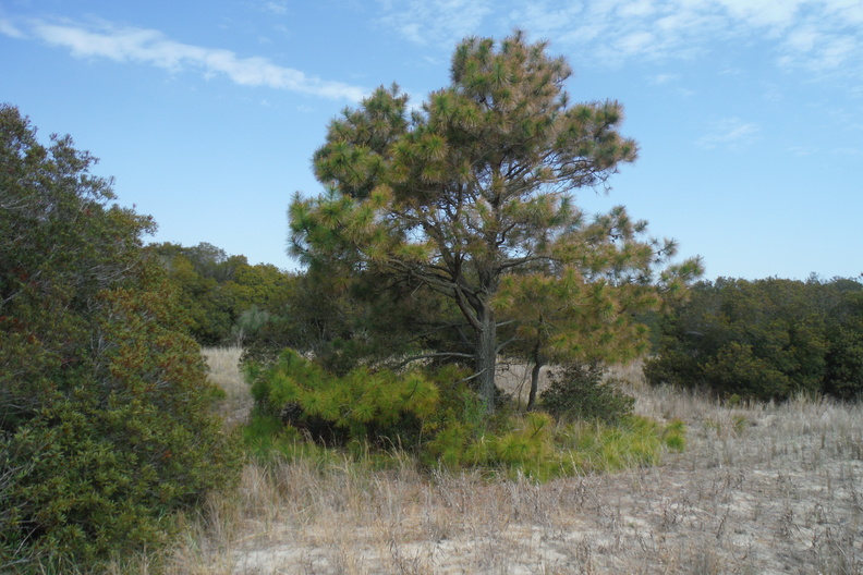 DSCF6580.JPG