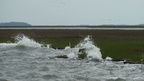Chimney Pole Marsh