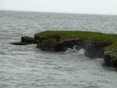 DSC00184