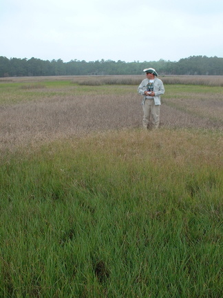 June 2004 flight2 010