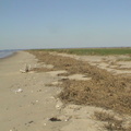 DSC03751.jpg