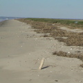 DSC03753