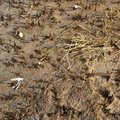 IMGP0043